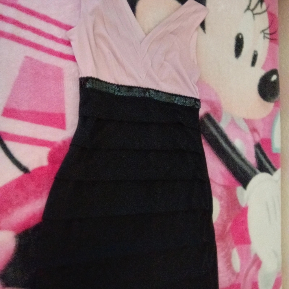 Sweet Storm Pink and Black Mini Dress